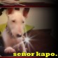 señor kapo con sus primeros 3 meses